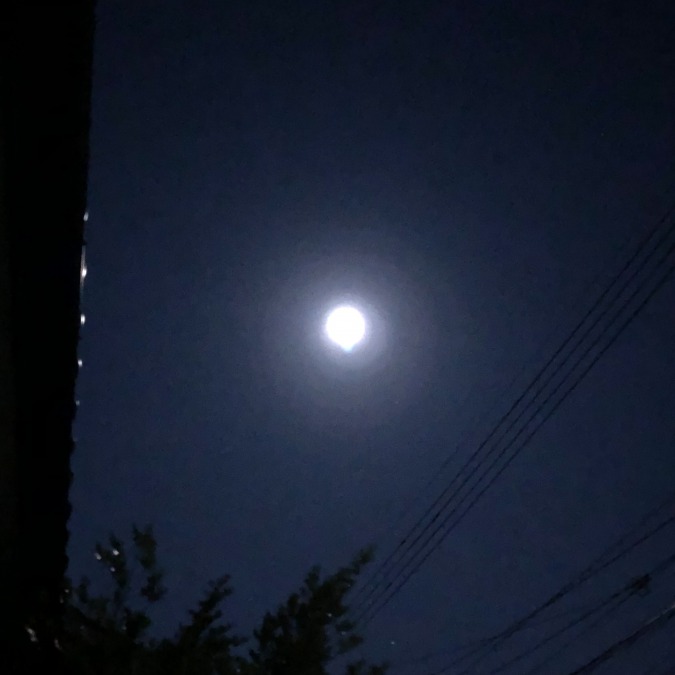 昨日は…